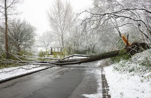 Winter storm